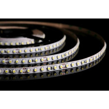 Non-Waterproof Flexible 3528 Strips (120LEDs/M)